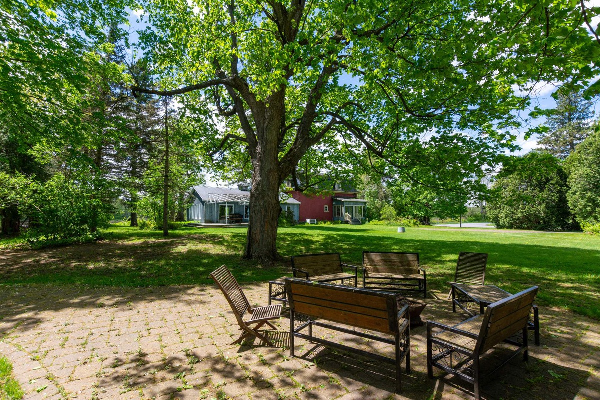 Terrasse et jardin sous l'érable